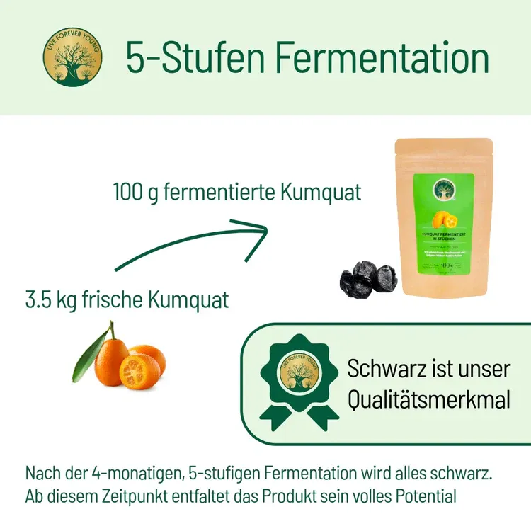 Kumquatfermentation.webp