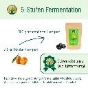 Kumquatfermentation.webp