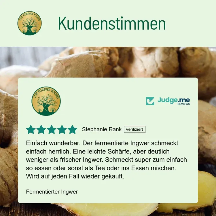 fermentierterIngwerKundenstimmen.webp