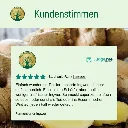 fermentierterIngwerKundenstimmen.webp