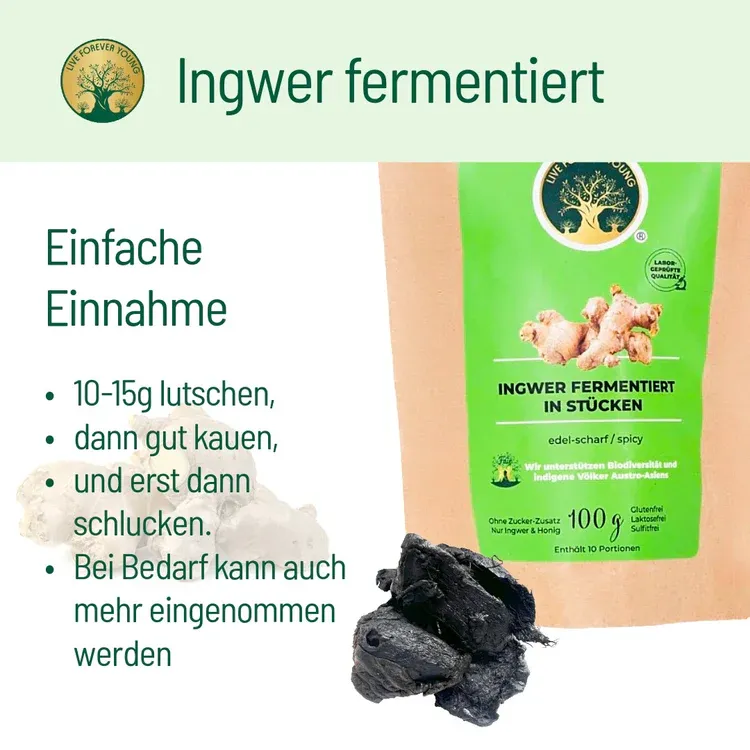 fermentierterIngwerAnwendung_a84af41c-1b83-4cec-be83-33ea779b39e5.webp