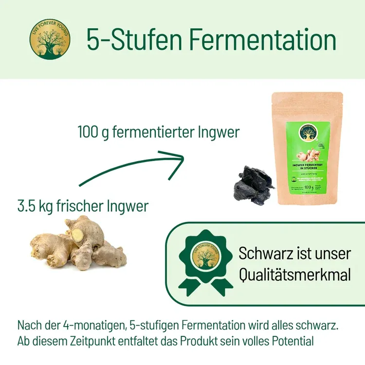 Ingwerfermentation_2b99a434-7fd0-48f0-a9fb-07790c48b86e.webp