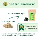 Ingwerfermentation_2b99a434-7fd0-48f0-a9fb-07790c48b86e.webp