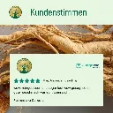 fermentierterDangshenKundenstimmen.webp