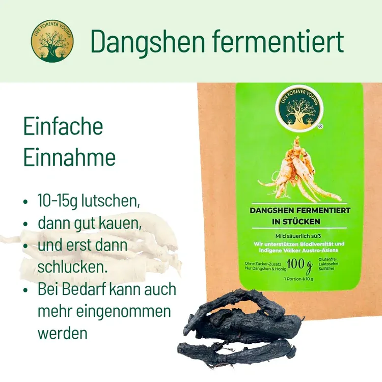 fermentierterDangshenAnwendung.webp