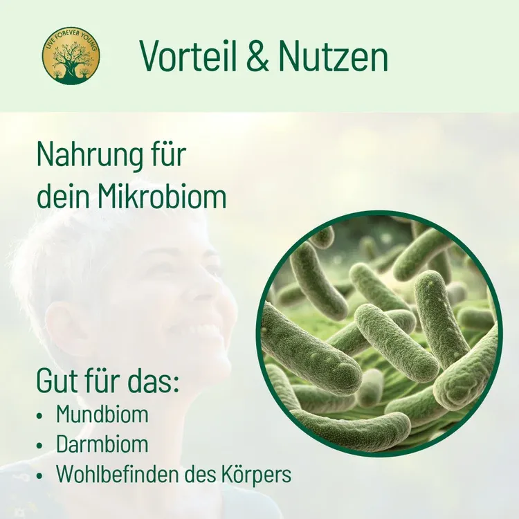fermentierterDangshenVorteile.webp