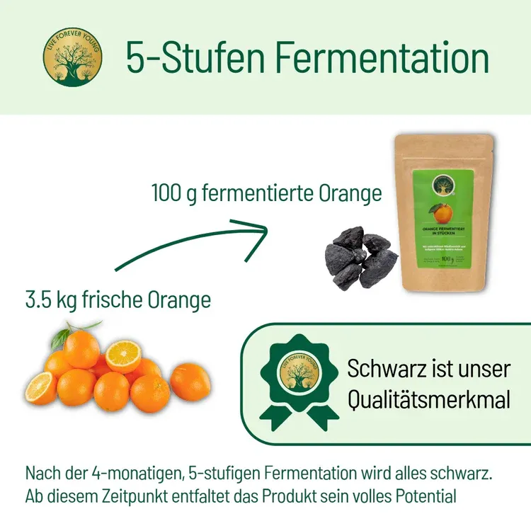 Orangefermentation_9f43d7a3-77f8-4644-ace6-a2f1d33082b7.webp