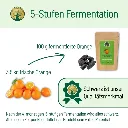 Orangefermentation_9f43d7a3-77f8-4644-ace6-a2f1d33082b7.webp