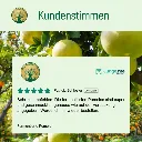 fermentiertePomeloKundenstimmen.webp