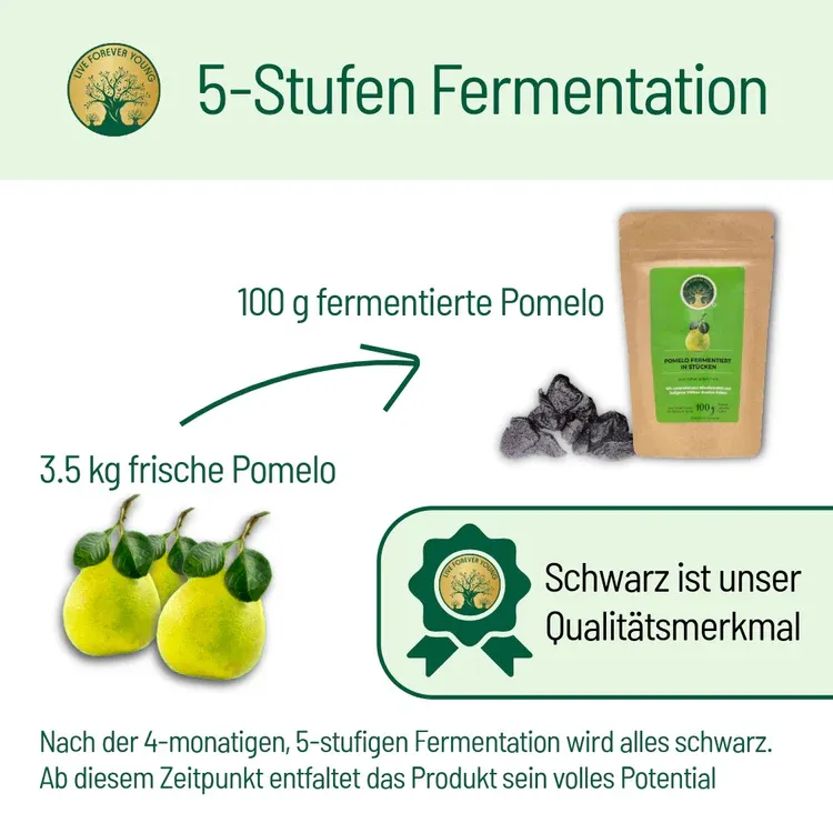 Pomelofermentation_e5ffbac0-3e4f-4b52-9730-9db60806445a.webp