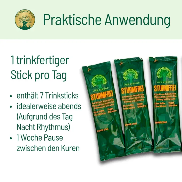 SturmfreipraktischeAnwendung_fadce5a2-d7ae-404e-9470-1e10cebf6c46.webp