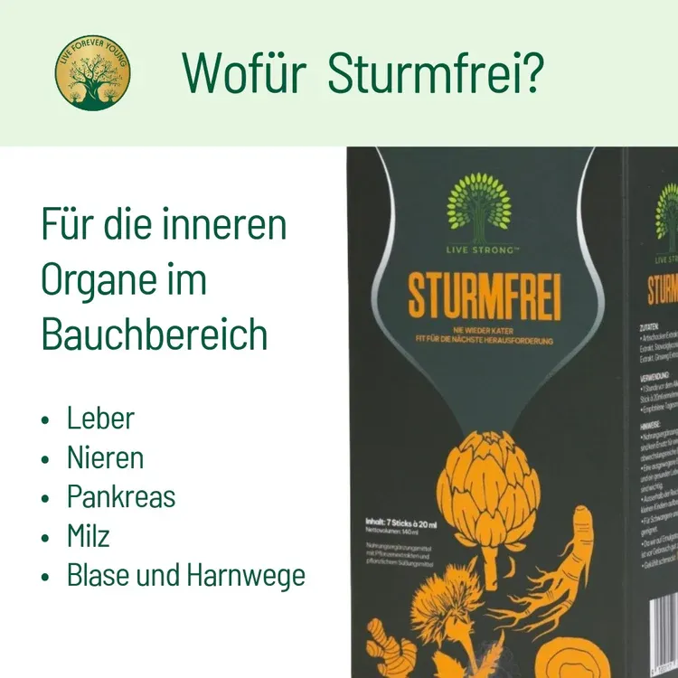 SturmfreifuerdieinnerenOrganeimBauchbereich.webp