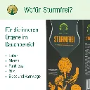 SturmfreifuerdieinnerenOrganeimBauchbereich.webp