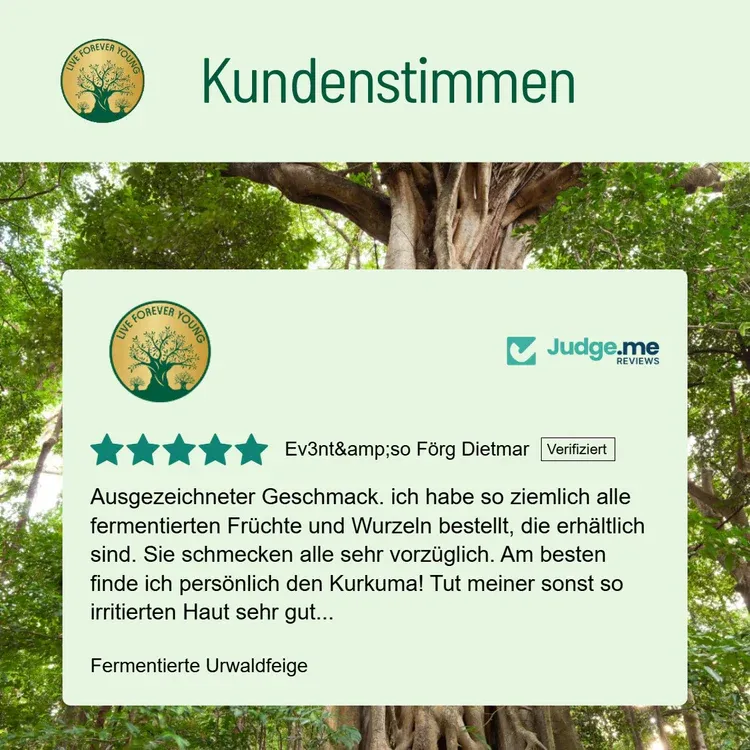 fermentierteUrwaldfeigeKundenstimmen.webp
