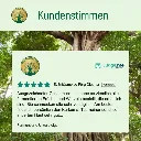 fermentierteUrwaldfeigeKundenstimmen.webp