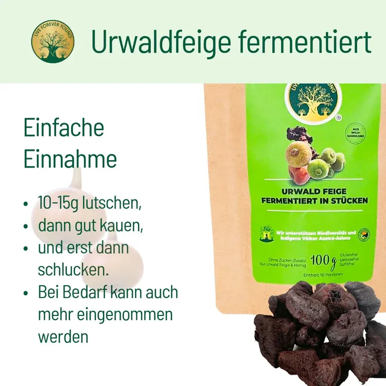fermentierteUrwaldfeigeAnwendung.webp