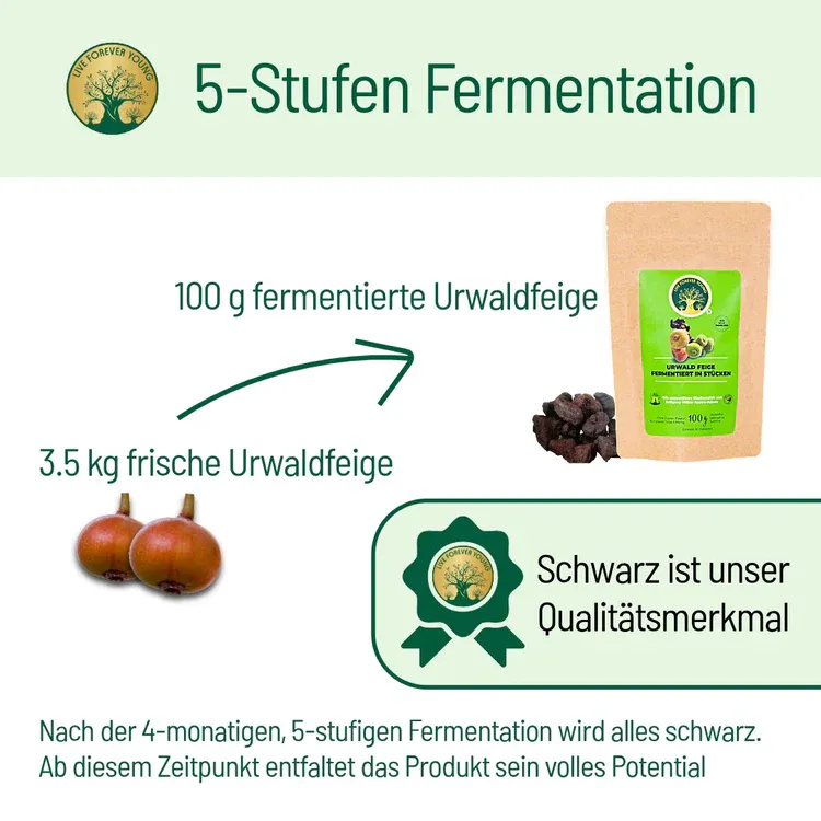 Urwaldfeigefermentiert.webp